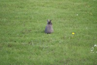 /album/fotogalerie/dsc01279-jpg/