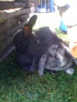 /album/fotogalerie/img-0237-jpg1/