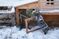 /album/fotogalerie/dsc02000-jpg/