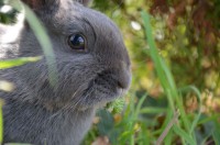 /album/fotogalerie/img-20130502-wa0047-jpg/