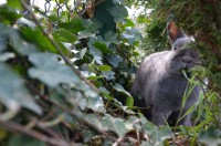 /album/fotogalerie/img-20130502-wa0039-jpg/