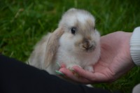 /album/fotogalerie/dsc-6723-jpg/