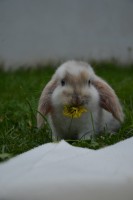 /album/fotogalerie/dsc-6674-jpg/