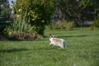 /album/fotogalerie/dsc-6796-jpg/