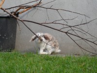 /album/fotogalerie/sam-1661-jpg/