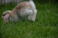 /album/fotogalerie/dsc-6689-jpg/