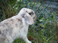 /album/fotogalerie/sam-1855-jpg/