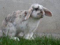 /album/fotogalerie/sam-1770-jpg/