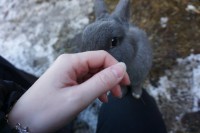 /album/fotogalerie/dsc06380-jpg/