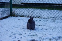 /album/fotogalerie/dsc06415-jpg/